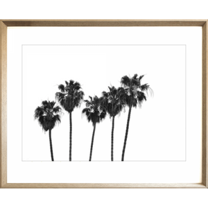 Black and White Photo of a range of palm trees - Hidden Cove 02 - Studio Collection from Mis Wall Art in cashew frame