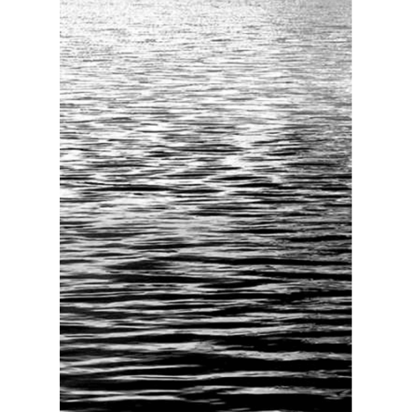 Black and White Photo of the vast ocean glistening with sunshine - Hidden Cove 05 - Studio Collection from Mis Wall Art on canvas