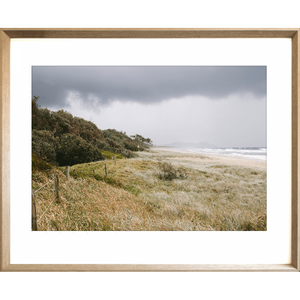 Coastal Wall Art - Stormy Tallows - Artist Collection