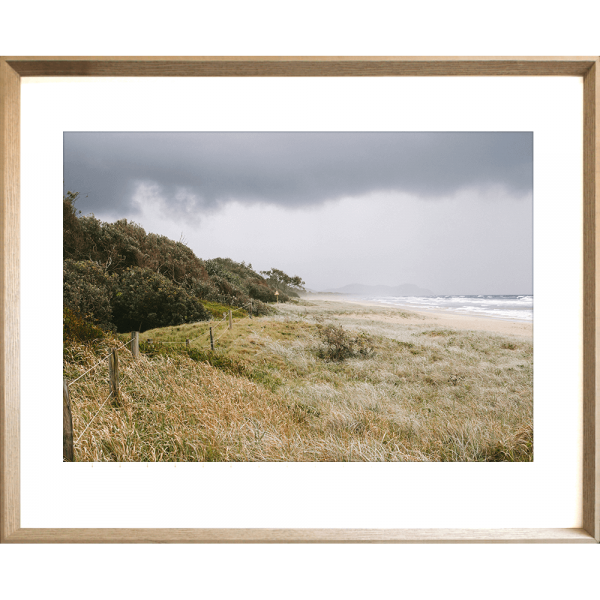 Coastal Wall Art - Stormy Tallows - Artist Collection