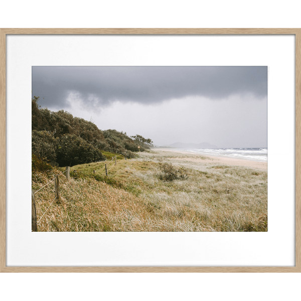 Coastal Wall Art - Stormy Tallows - Artist Collection