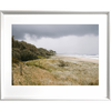 Coastal Wall Art - Stormy Tallows - Artist Collection