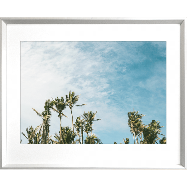 Tropical Wall Art - Island Life - Artist Collection