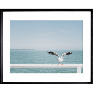 Ocean Wall Art - The Pier - Artist Collection