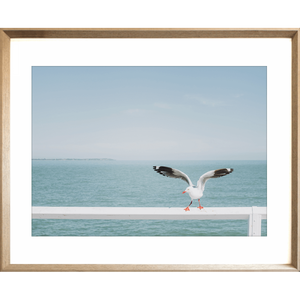 Ocean Wall Art - The Pier - Artist Collection