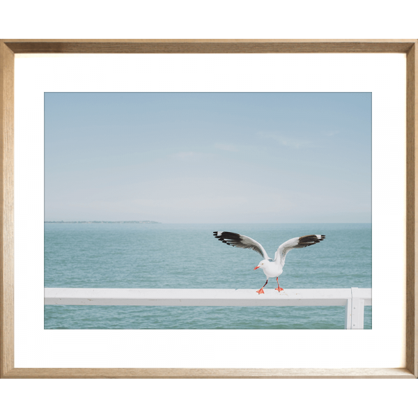 Ocean Wall Art - The Pier - Artist Collection