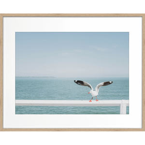 Ocean Wall Art - The Pier - Artist Collection