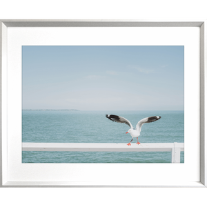 Ocean Wall Art - The Pier - Artist Collection